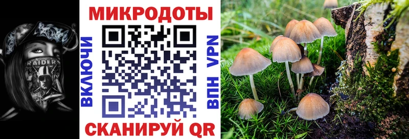 Псилоцибиновые грибы Cubensis  купить   hydra tor  Северская 