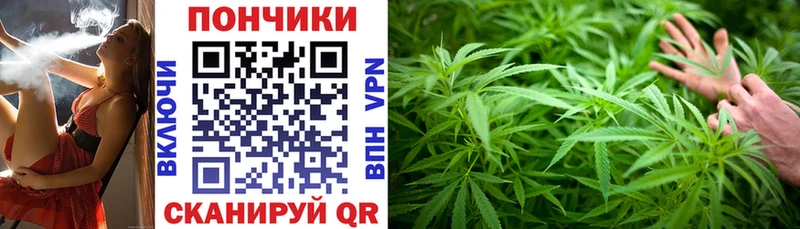 где найти   Северская  гидра сайт  Бошки марихуана конопля 